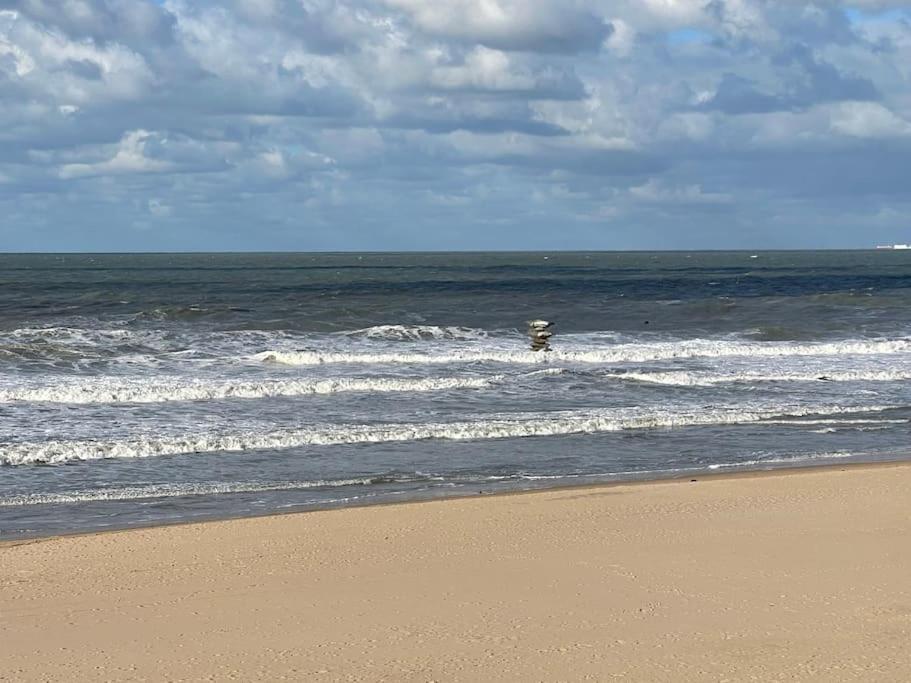 C The C - Oostende Экстерьер фото